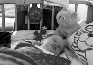 Newbornfotograaf Delft: baby en Dikkie Dik