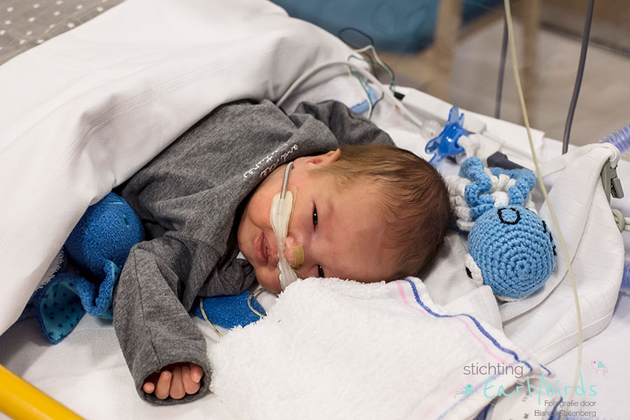 Stichting Earlybirds fotografie baby Milo Delft
