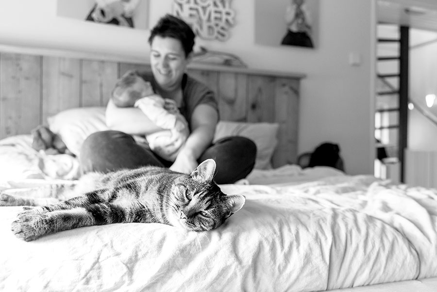 newborn fotograaf Pijnacker poes