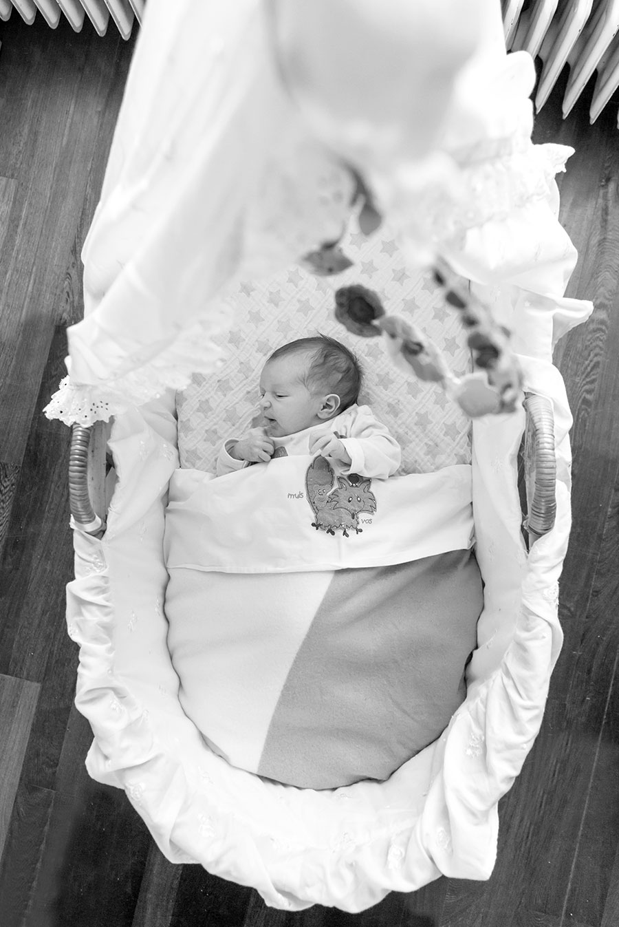 newborn fotograaf Pijnacker wieg