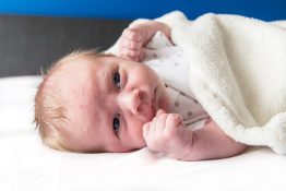 lifestyle newborn fotograaf utrecht workshop