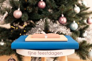 kerst kerstkorting babyalbum lifestyle newborn fotografie